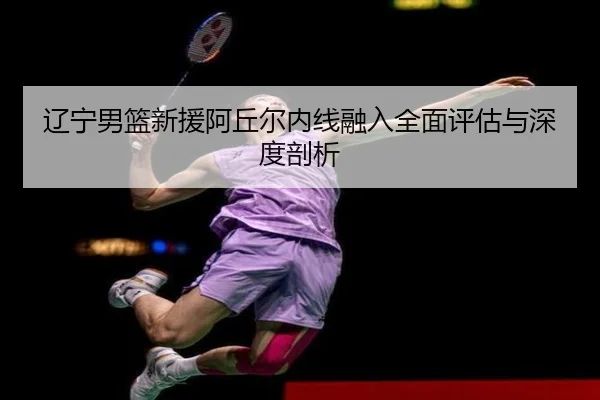辽宁男篮新援阿丘尔内线融入全面评估与深度剖析