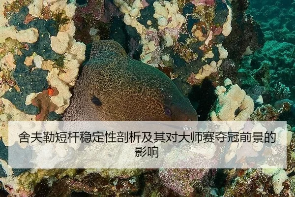 she-fu-lei-duan-gan-wen-ding-xing-pou-xi-ji-qi-dui-da-shi-sai-duo-guan-qian-jing-de-ying-xiang-3-752.jpg