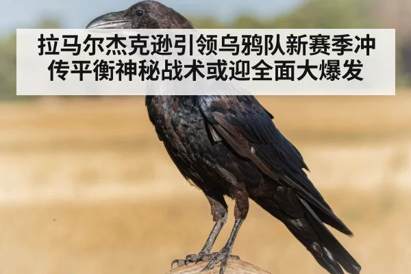 拉马尔杰克逊引领乌鸦队新赛季冲传平衡神秘战术或迎全面大爆发